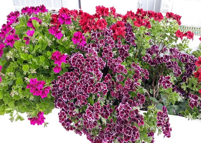 Angie 4 - Marjan Hill 아파트