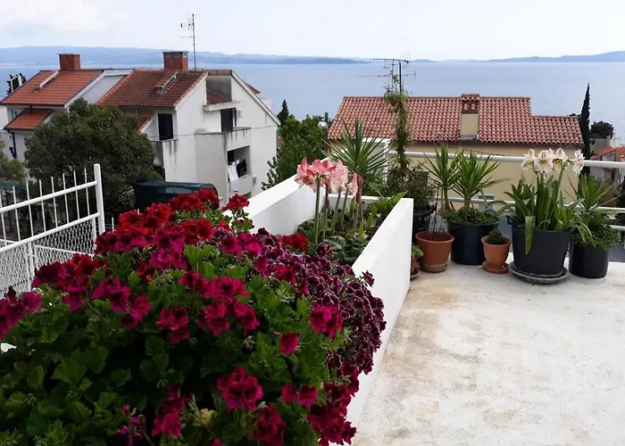 Angie 4 - Marjan Hill * 스플리트